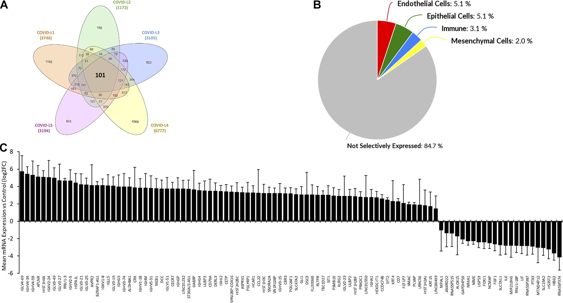 Frontiers Sars Cov 2 Infection Induced Promoter Hypomethylation As An Epigenetic Modulator Of Heat Shock Protein A1l Hspa1l Gene