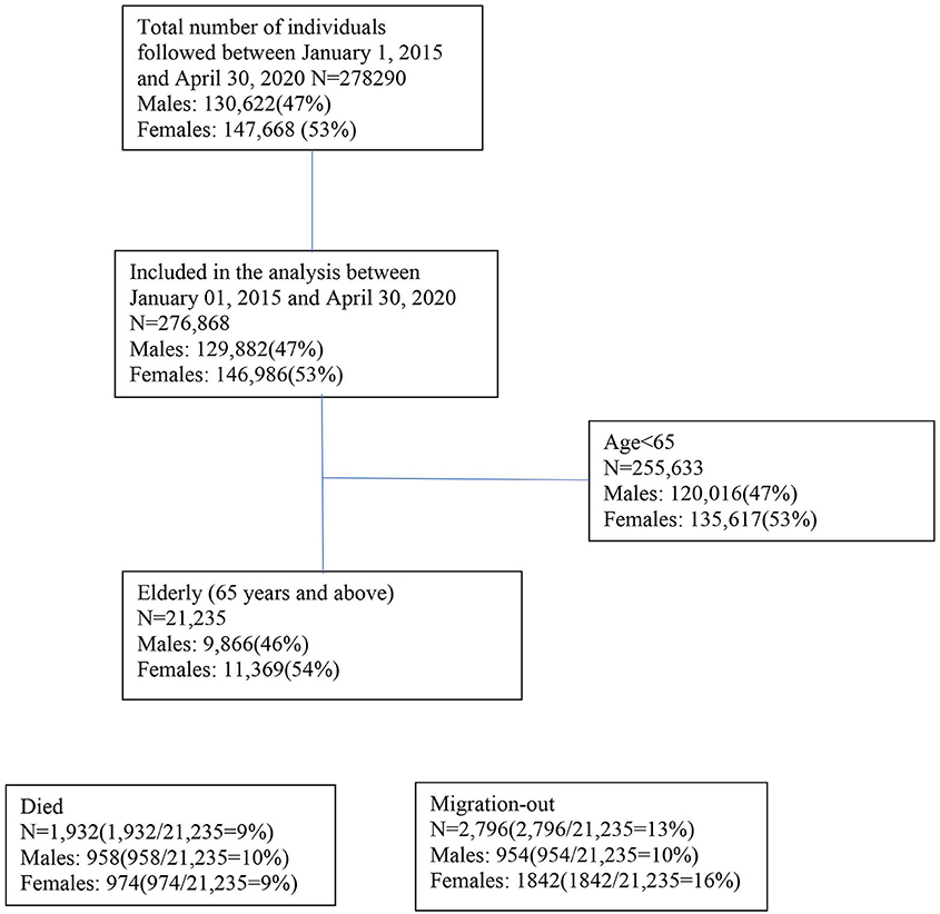 Frontiers | Insights Into Excess Mortality During the First Months of the COVID-19 Pandemic From ...