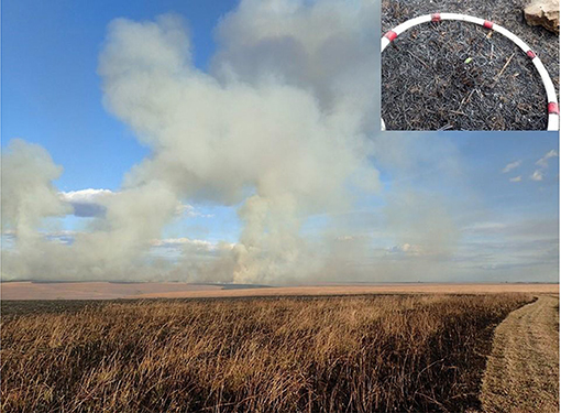 Figure 2 - A prescribed burn at the Tallgrass Prairie National Preserve, Strong City, Kansas.