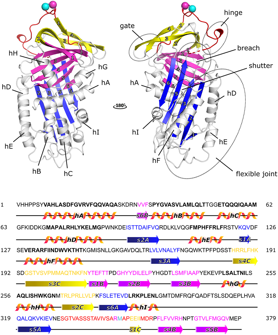 Plasminogen Activator Inhibitor-1 Is a Marker and a Mediator of