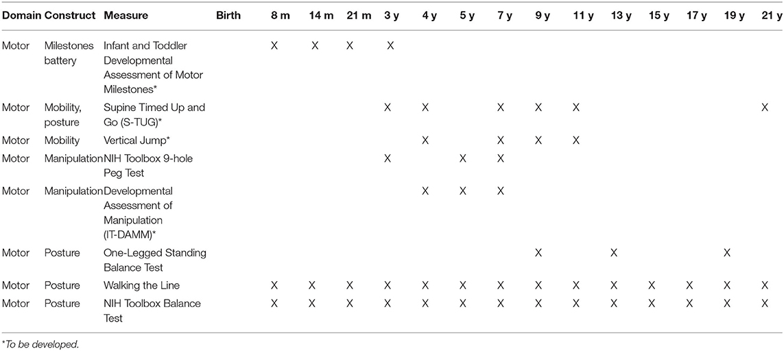 4.2 Proportions of the Body  Understanding the Whole Child: Prenatal  Development through Adolescence