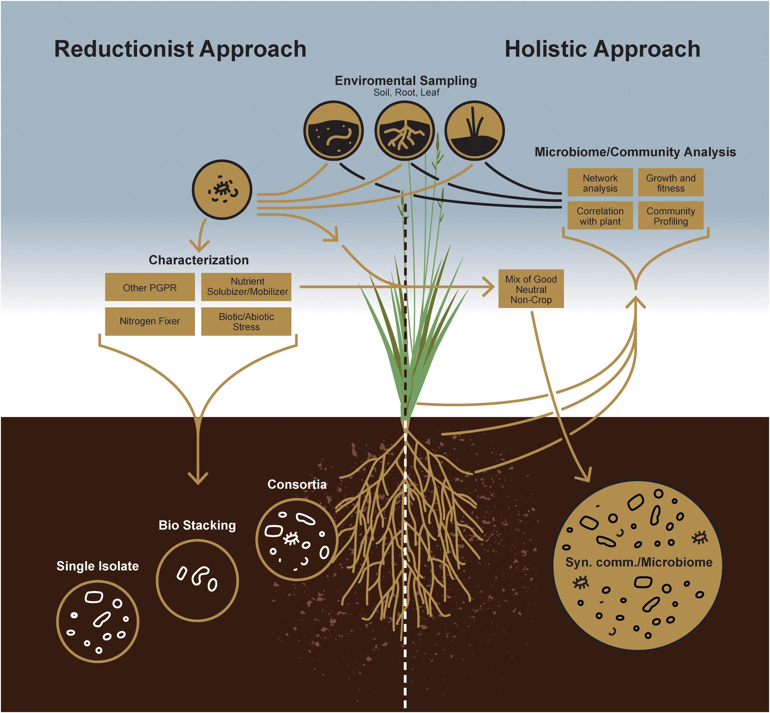 Toward sustainable space exploration: a roadmap for harnessing the power of  microorganisms