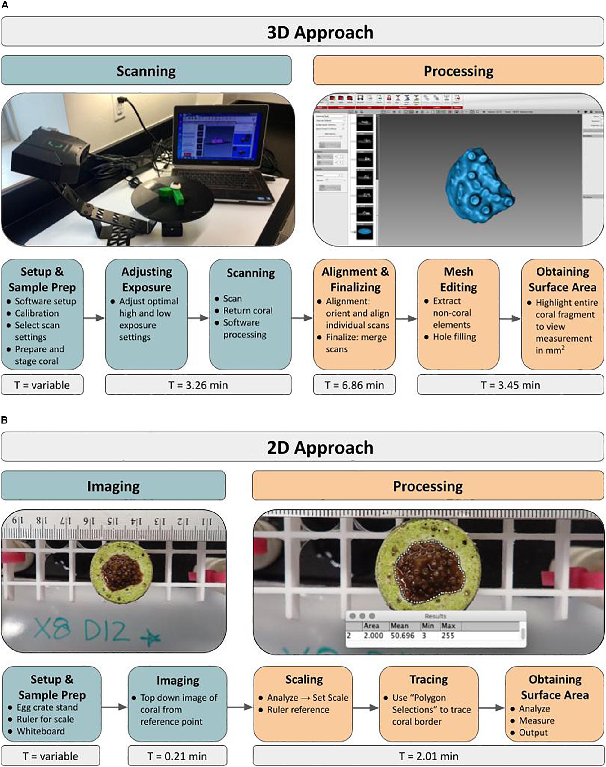 PDF) A comparison of reverse projection and laser scanning