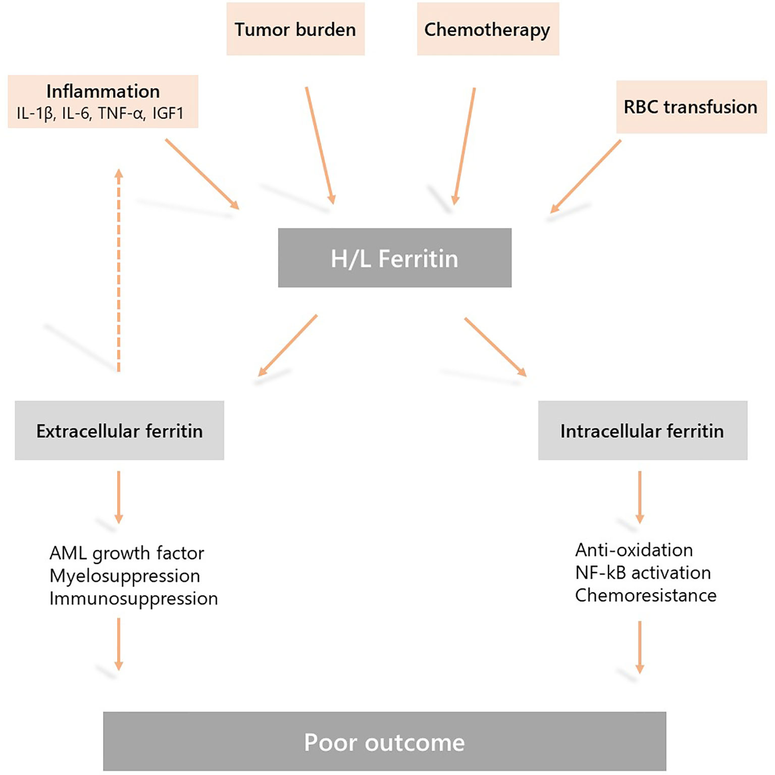 www.frontiersin.org