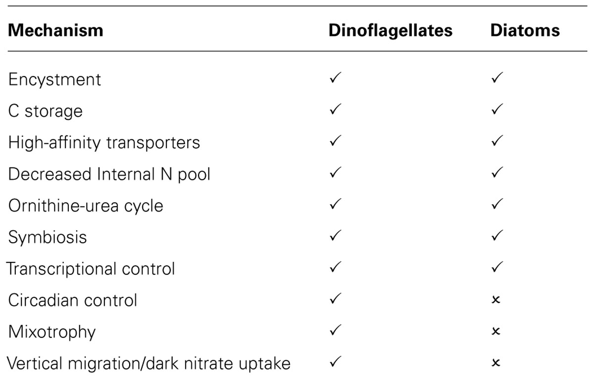 Frontiers Putting The N In Dinoflagellates Microbiology