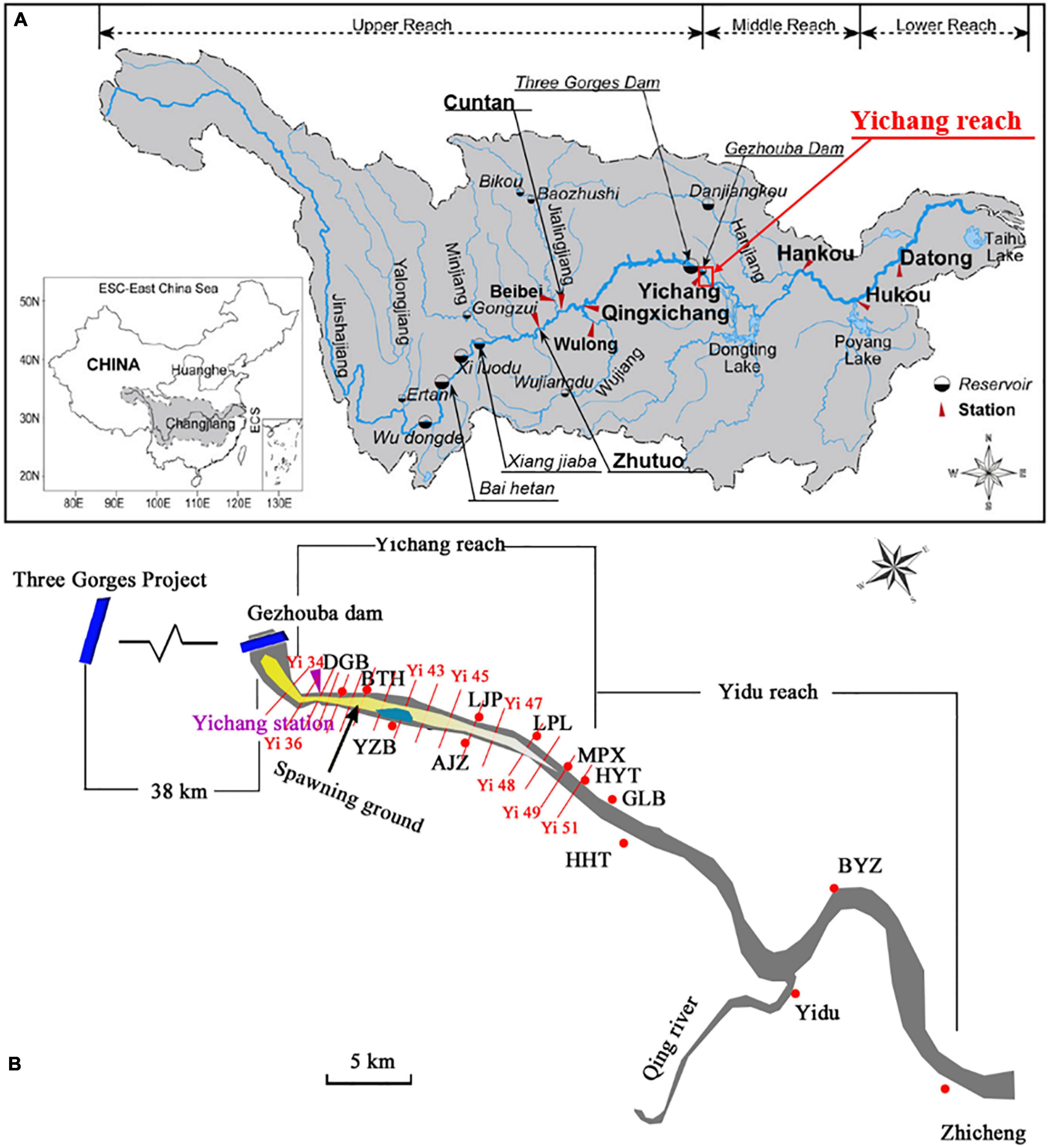 3 gorges dam geography case study