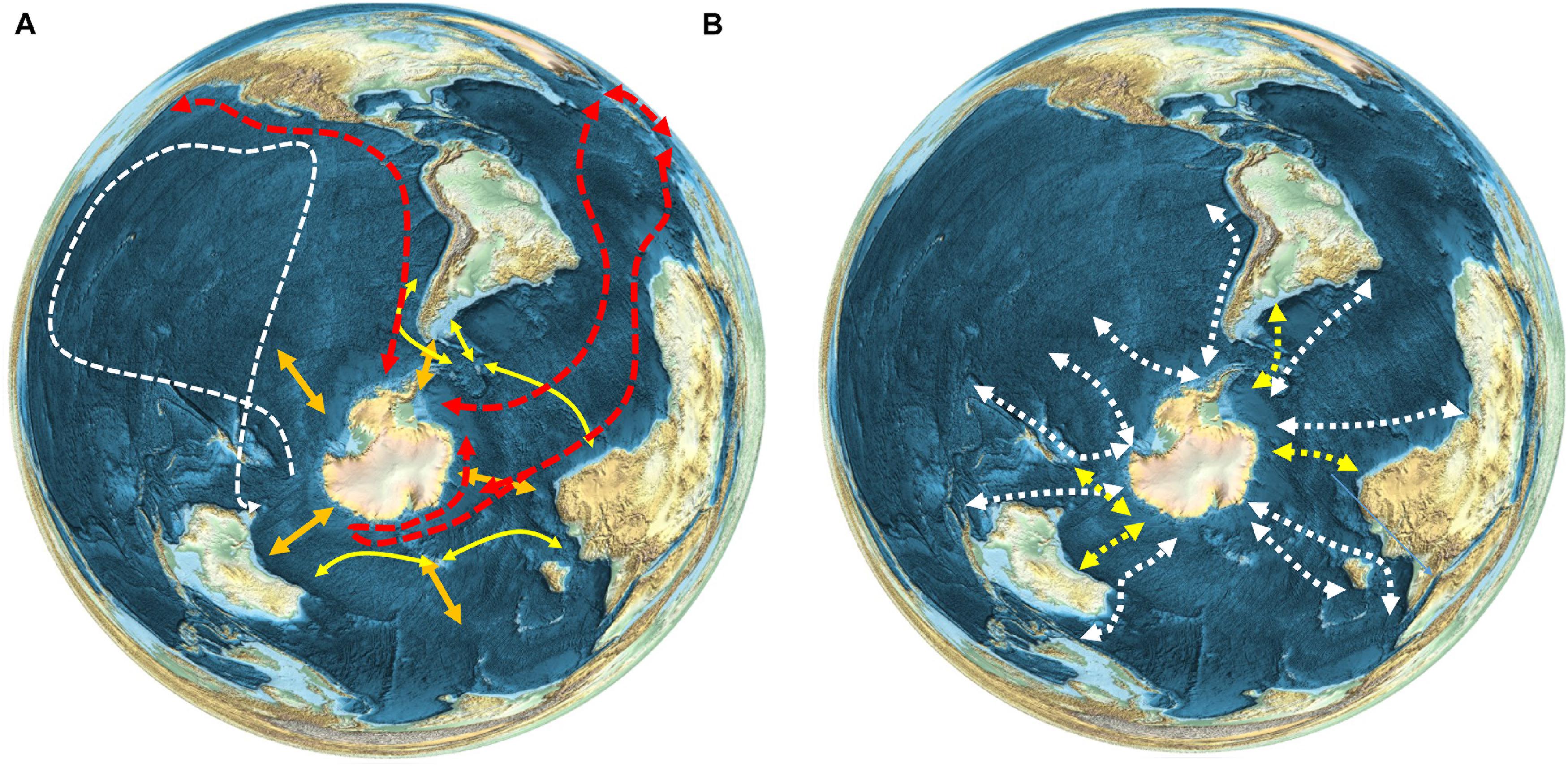Spiral Pacific: Exploring Ocean Ecosystem Connectivity