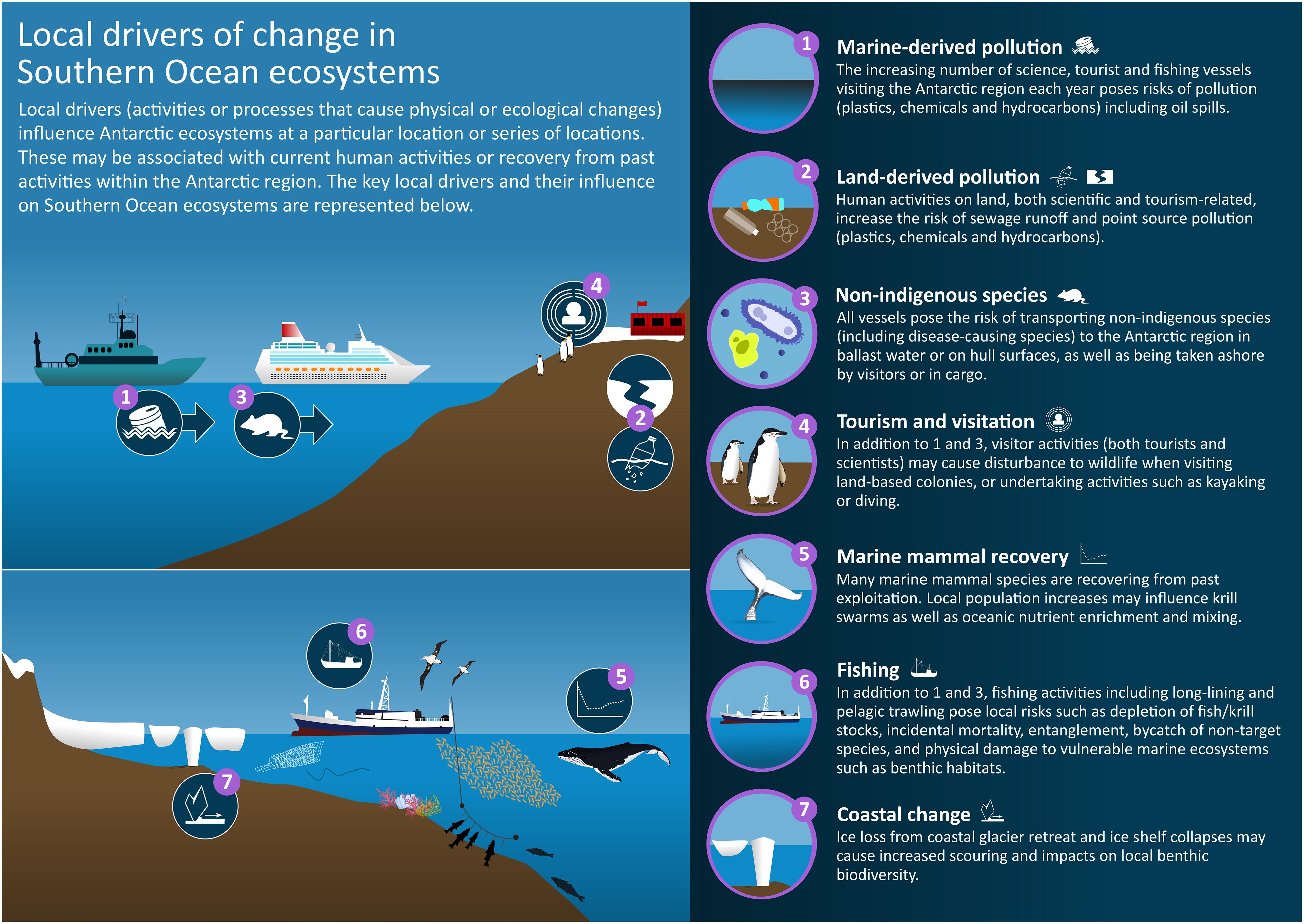 Frontiers  Local Drivers of Change in Southern Ocean Ecosystems: Human  Activities and Policy Implications