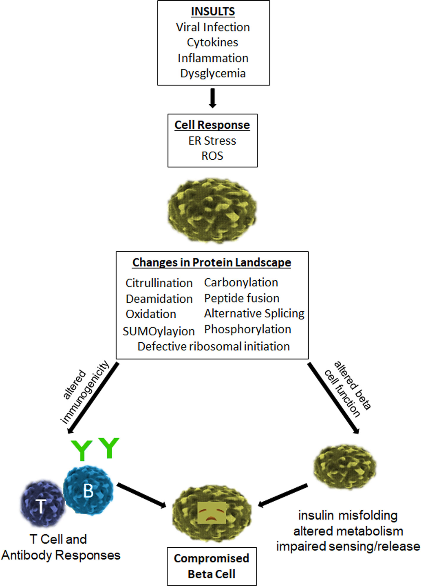 Flanking Tactics for Active Killer Response