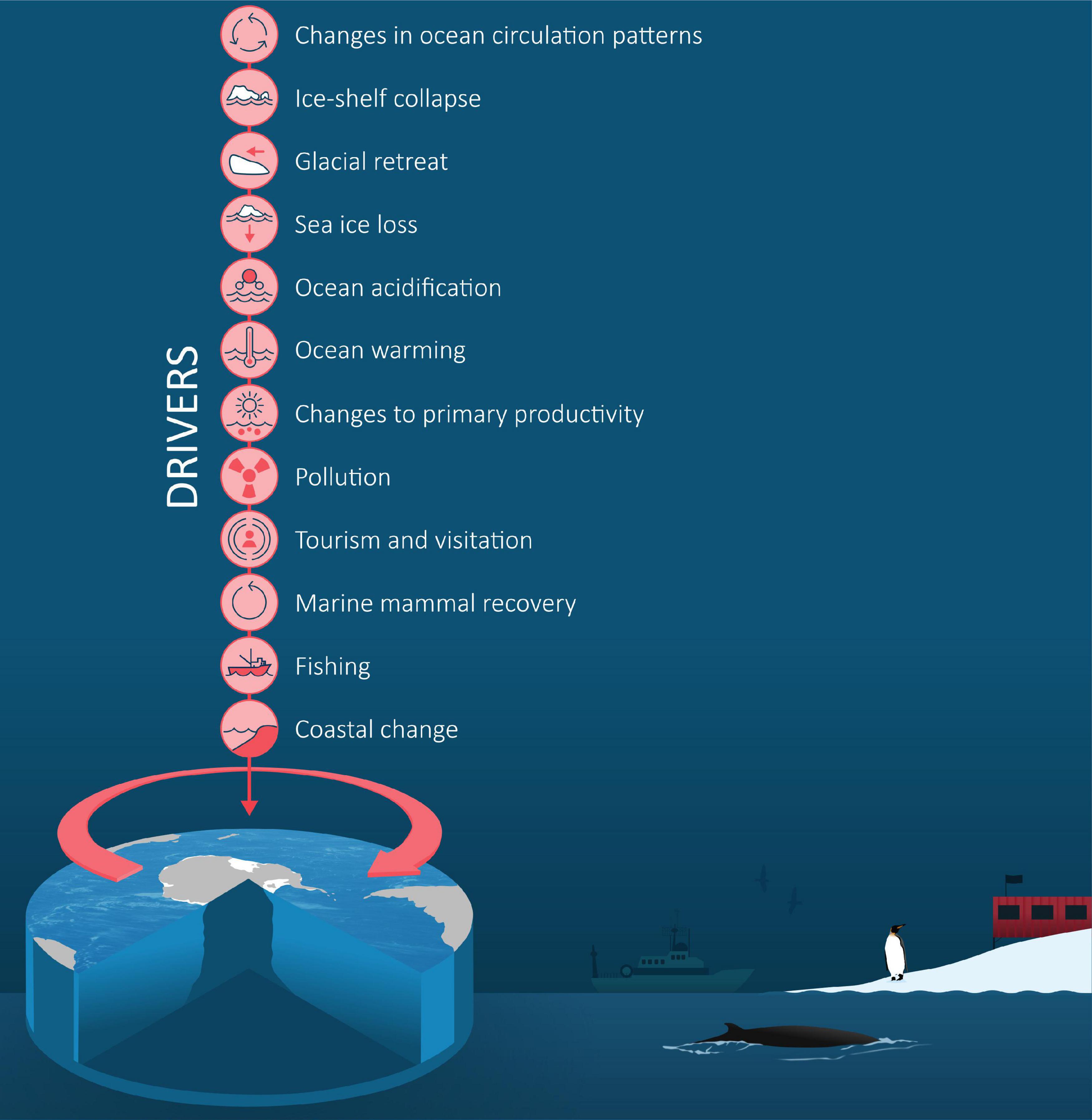 Frontiers  Status, Change, and Futures of Zooplankton in the Southern Ocean