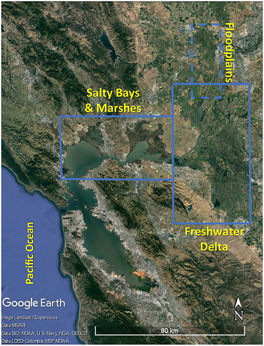Figure 1 - The upper San Francisco Estuary (boxed areas) showing its many ecosystems.