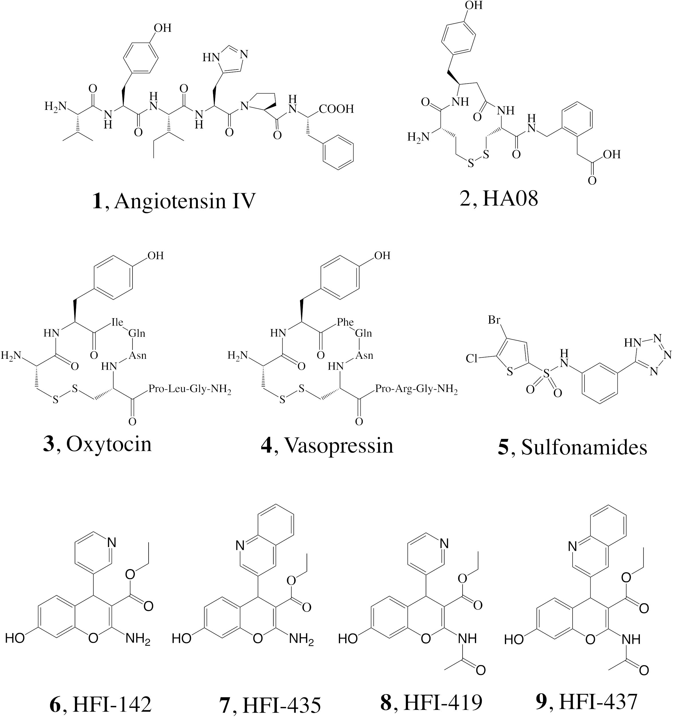 Frontiers Structural Basis Of Inhibition Of Human Insulin Regulated Aminopeptidase Irap By Benzopyran Based Inhibitors Molecular Biosciences
