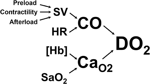 Pre-Arrest Acidemia and the Effect of Sodium Bicarbonate on ROSC