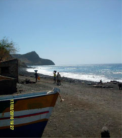 www.frontiersin.org