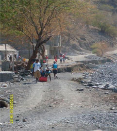 www.frontiersin.org