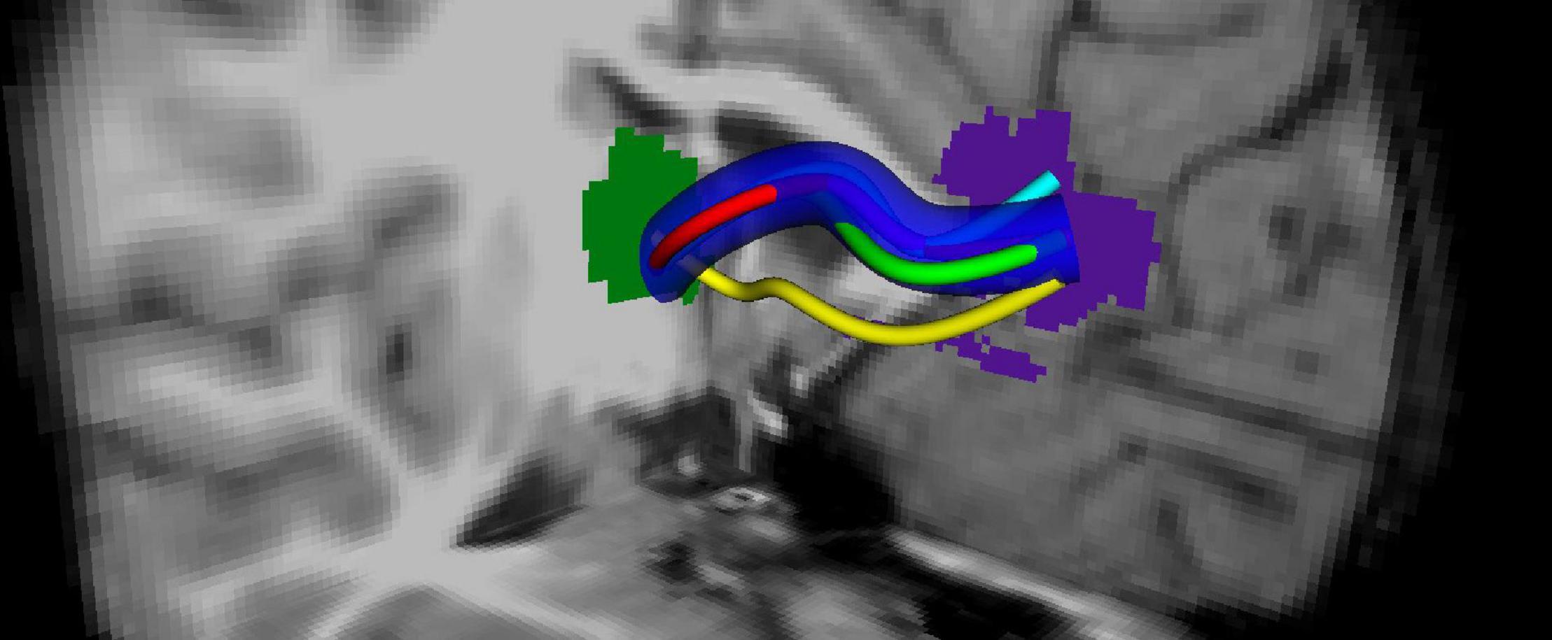 www.frontiersin.org