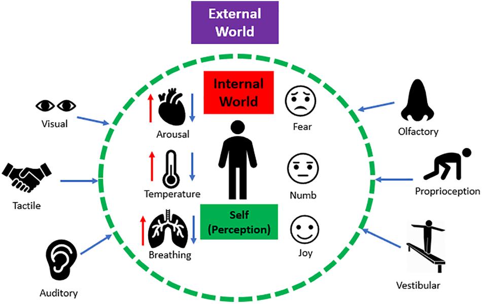 Sensory Input & Sensory Memory