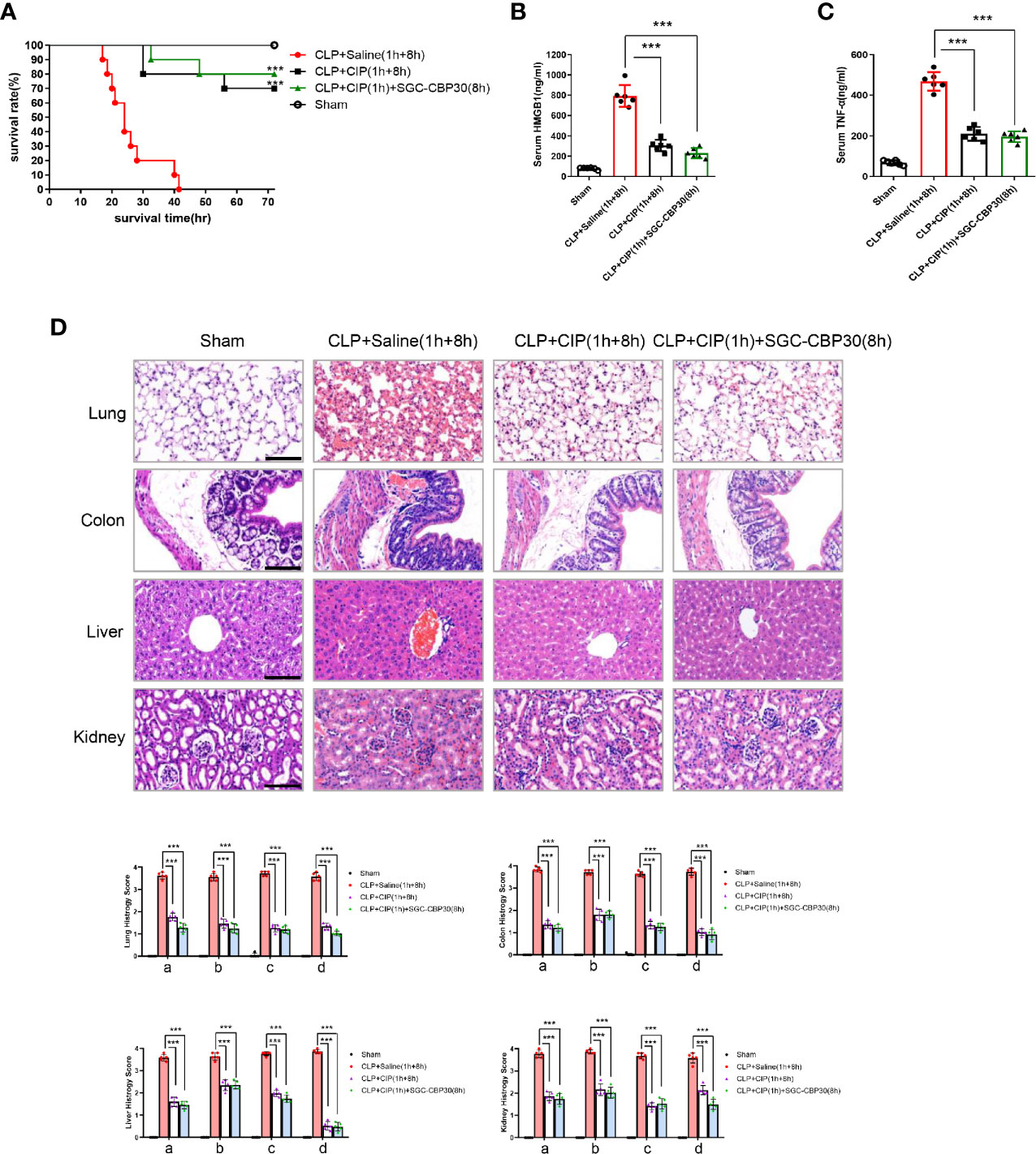 CBM CS+P 70% - Bombe Lacrymogène - HyperProtec