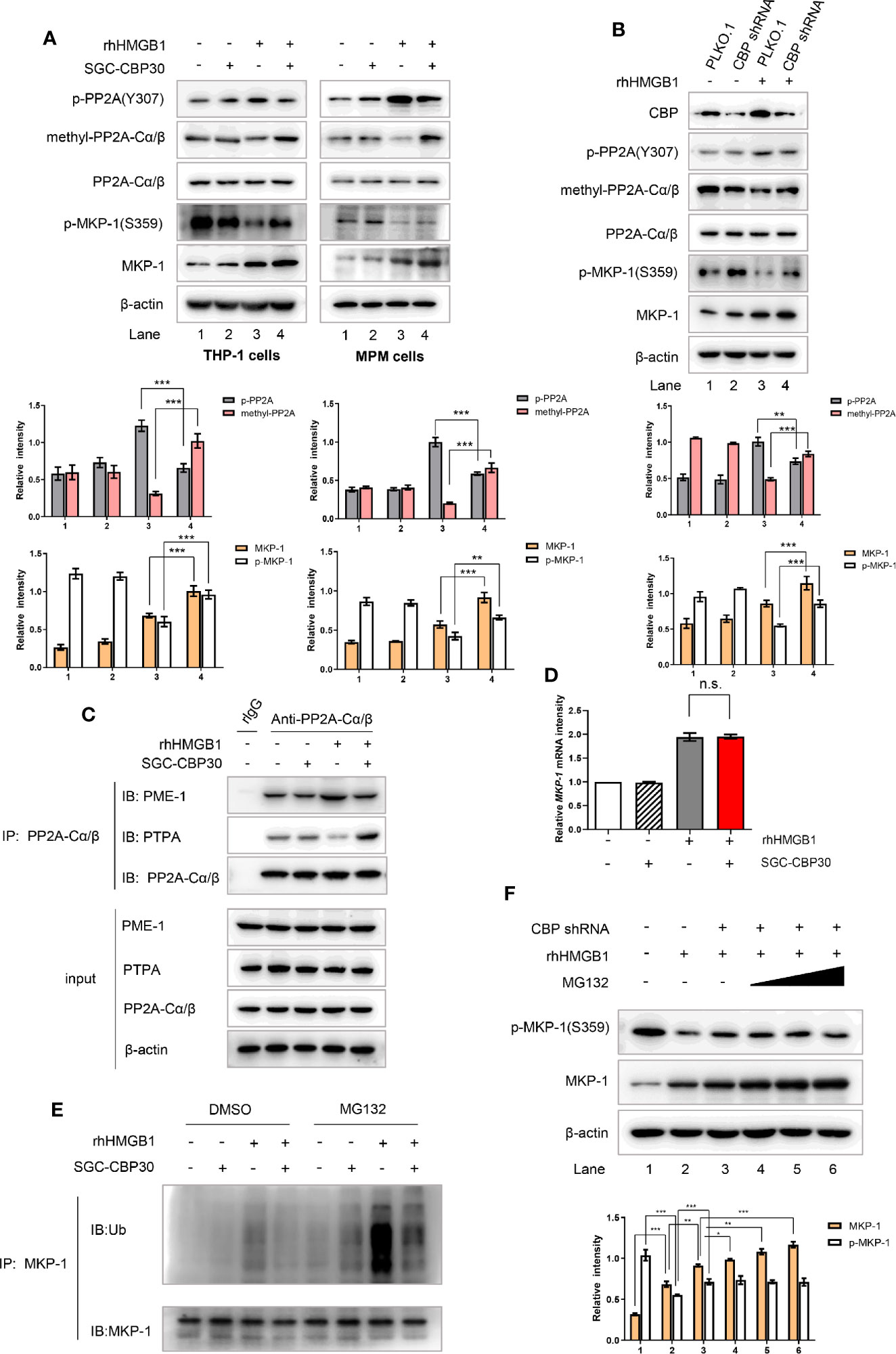 CBM CS+P 70% - Bombe Lacrymogène - HyperProtec