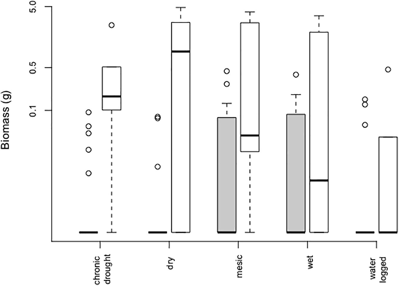 Frontiers | Invasion Success of Bunias orientalis (Warty Cabbage) in ...