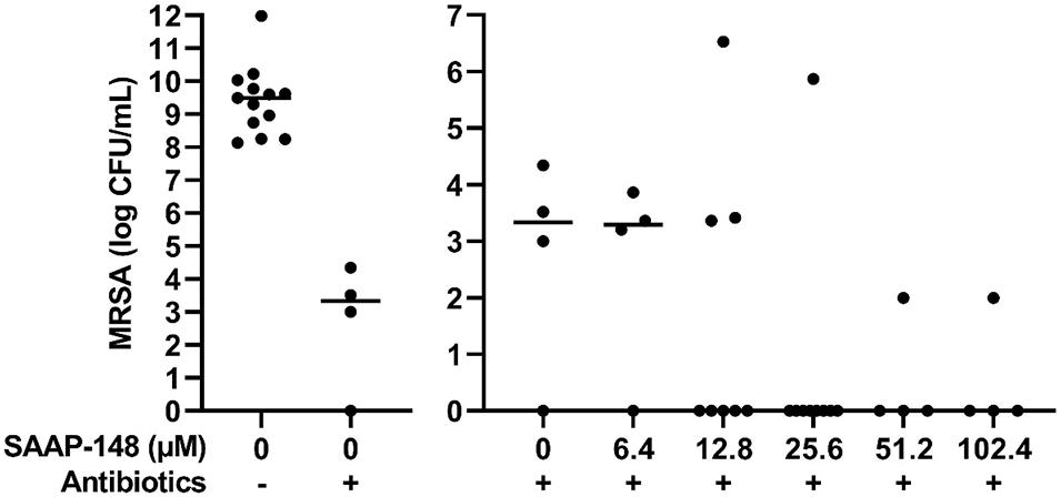 Frontiers | SAAP-148 Eradicates MRSA Persisters Within Mature Biofilm