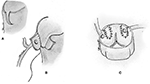 www.frontiersin.org