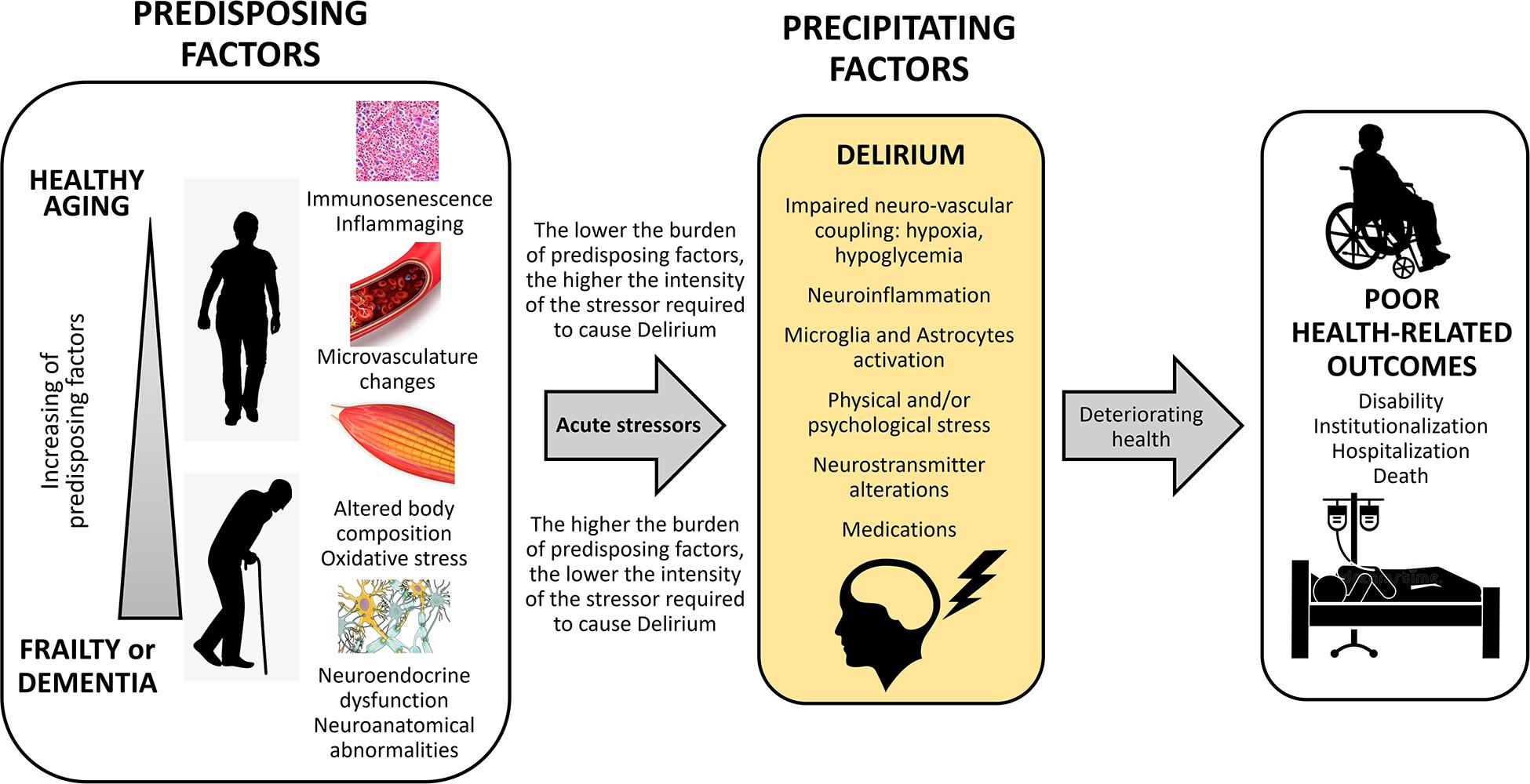 The Delirium Drug Scale is associated to delirium incidence in the  emergency department, International Psychogeriatrics