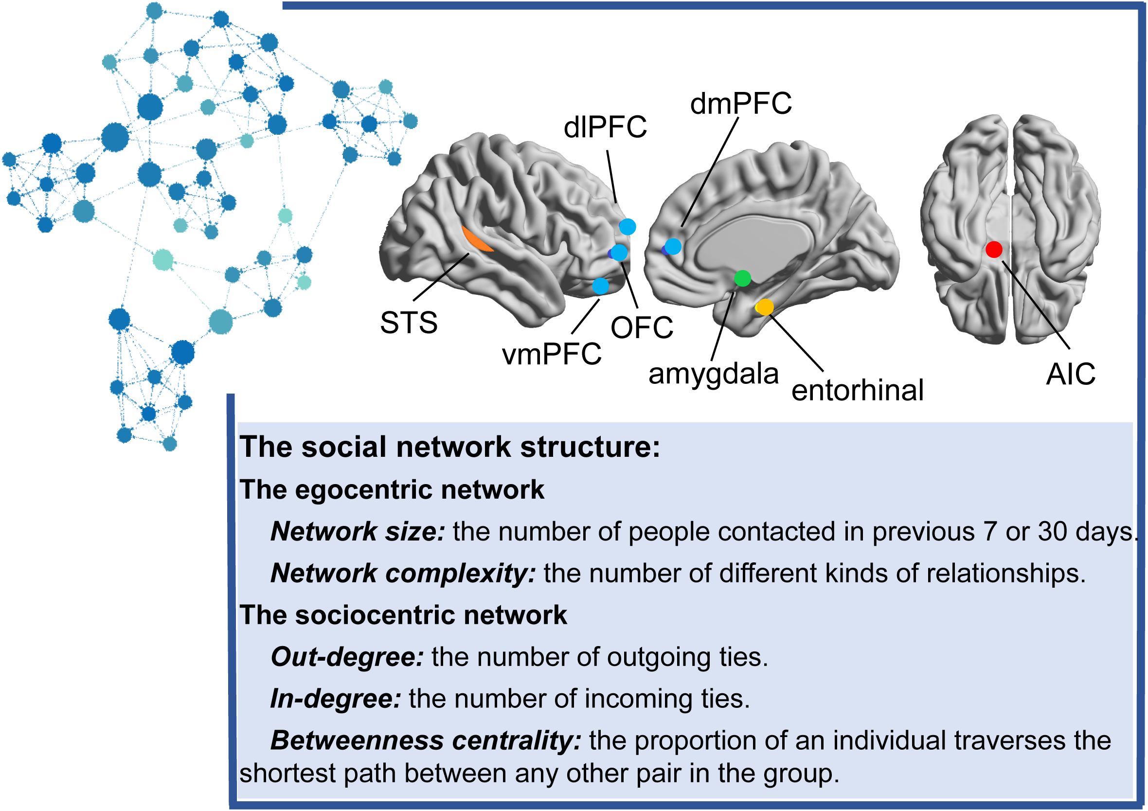 Global synergistic actions to improve brain health for human