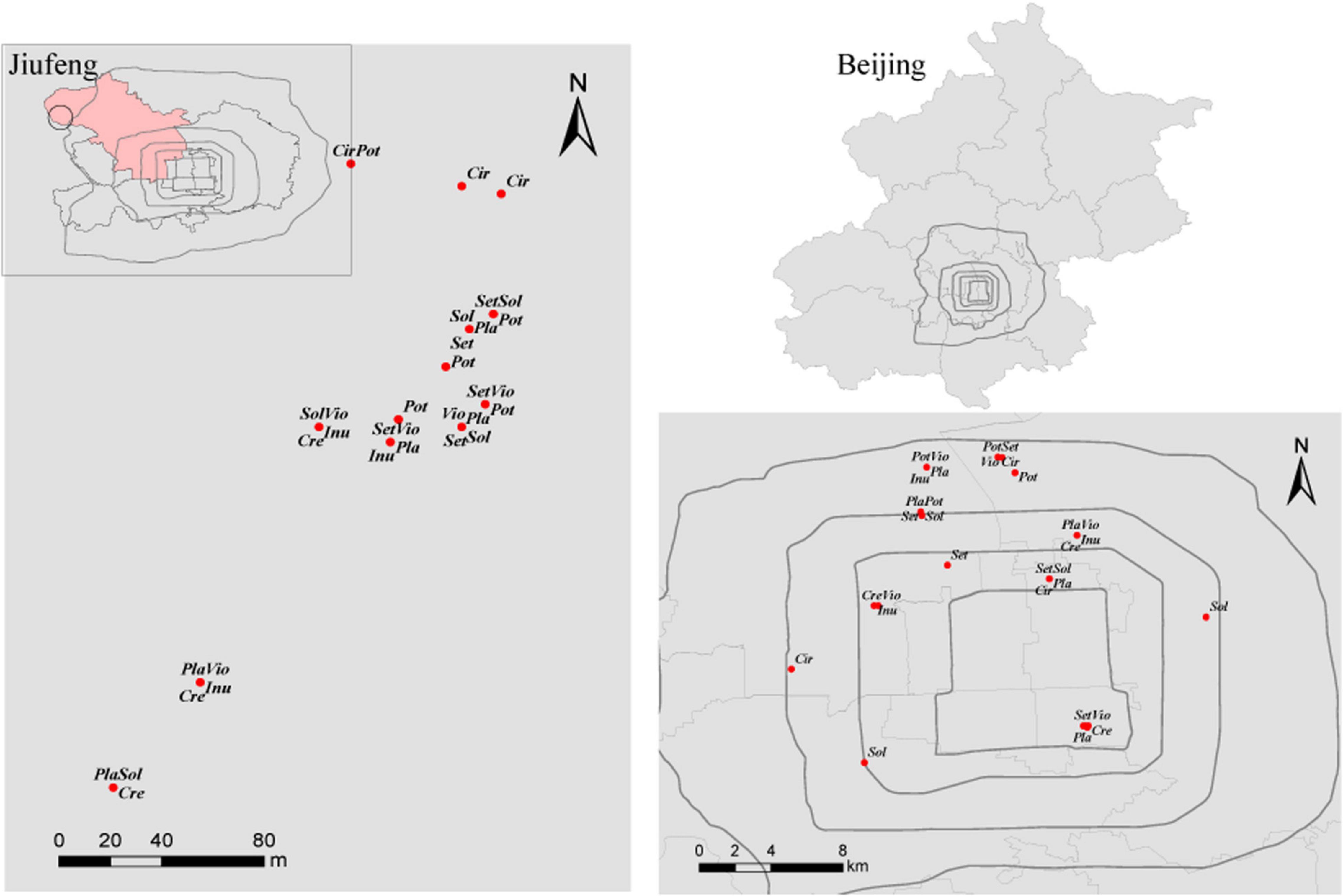 Frontiers | Impacts of Urbanization Undermine Nestedness of the