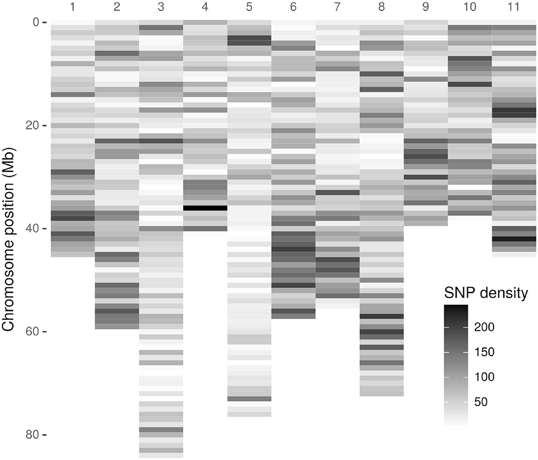 1084px x 927px - Frontiers | Construction of a High-Density Genetic Map of Acca sellowiana  (Berg.) Burret, an Outcrossing Species, Based on Two Connected Mapping  Populations