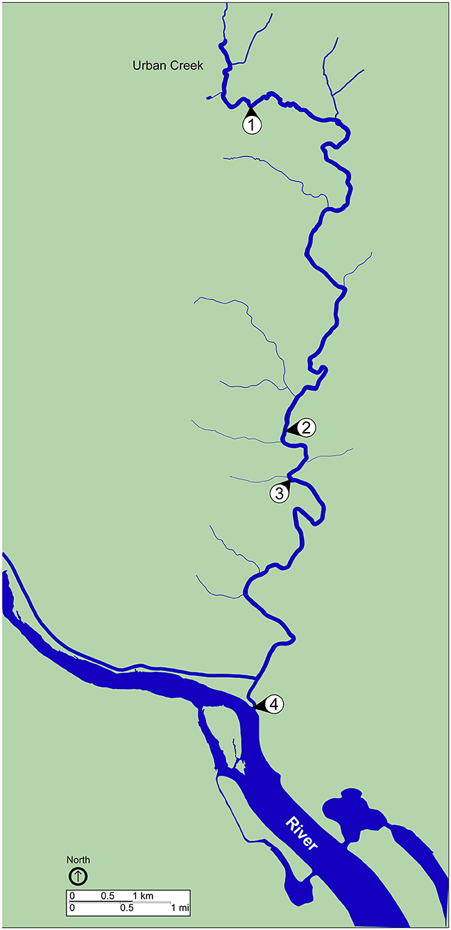 www.frontiersin.org