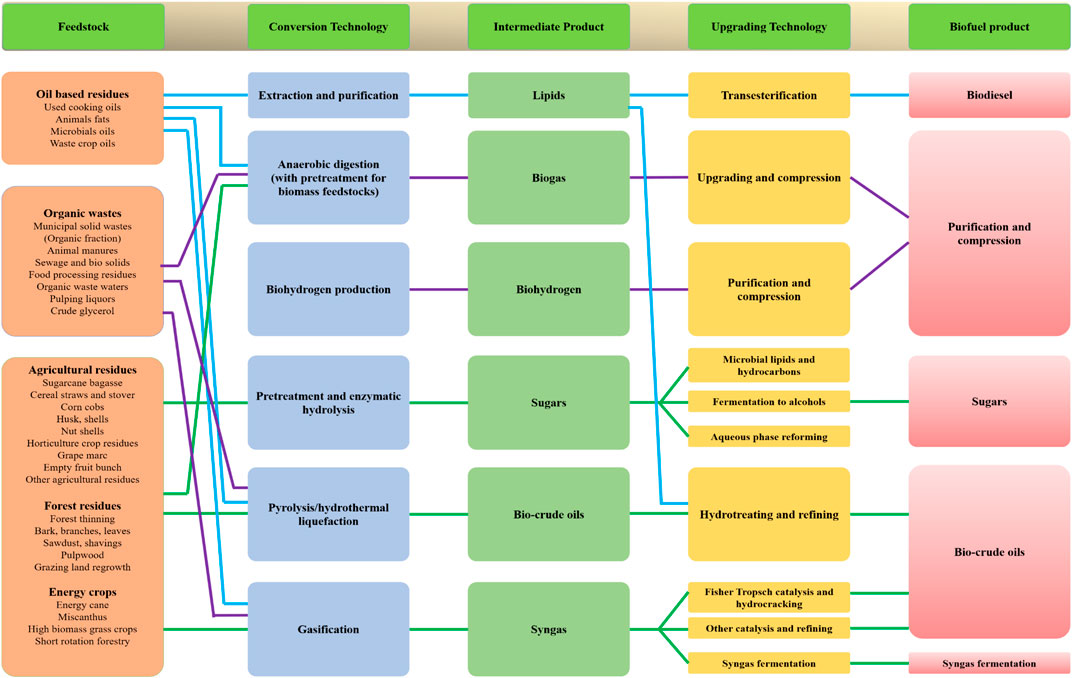 Frontiers Prospects Of Bioenergy Production From Organic Waste Using Anaerobic Digestion Technology A Mini Review Energy Research