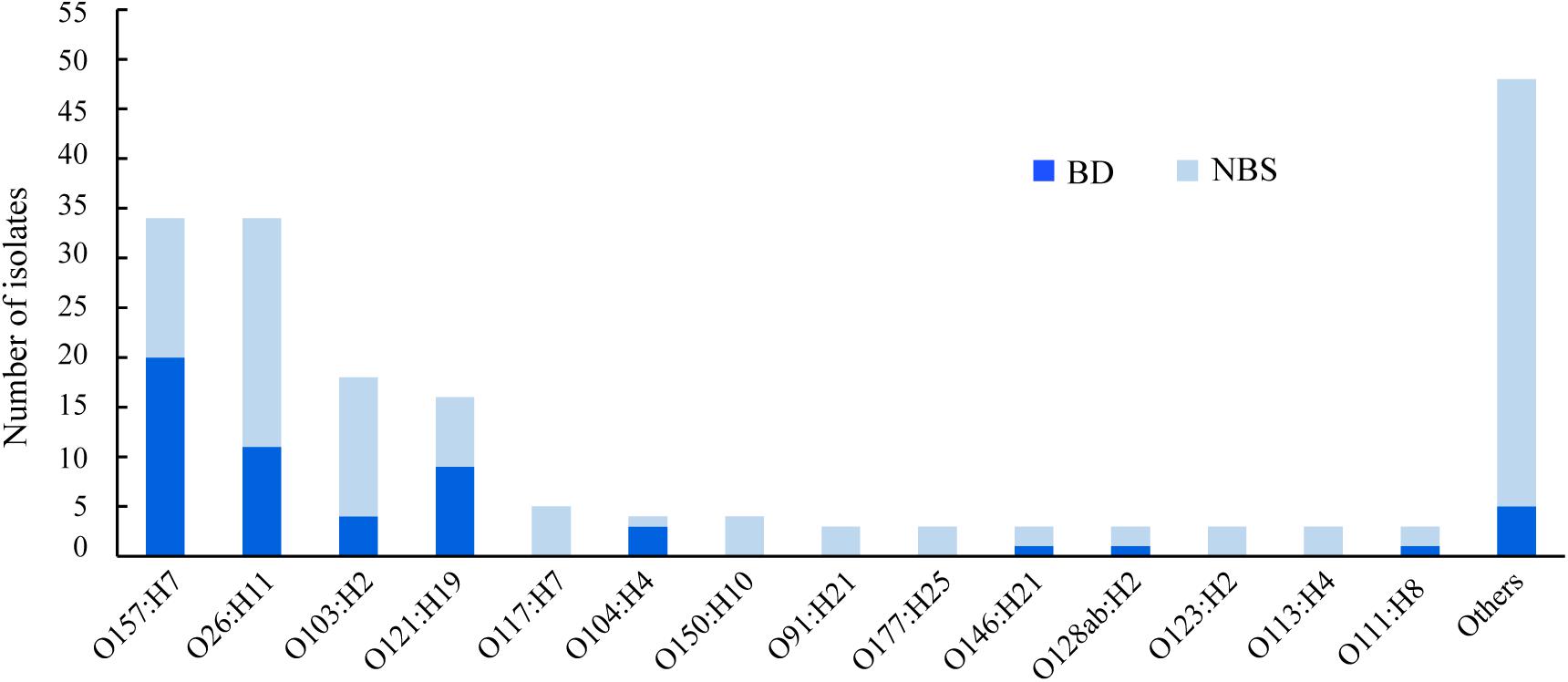 Frontiers Genomic Insights Into Clinical Shiga Toxin Producing Escherichia Coli Strains A 15 Year Period Survey In Jonkoping Sweden Microbiology