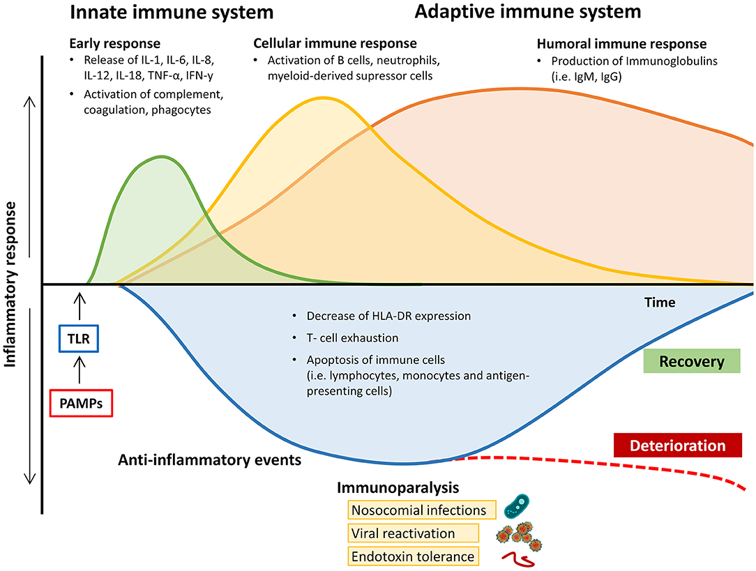 PDF) Sepsis in Burns—Lessons Learnt from Developments in the Management of  Septic Shock