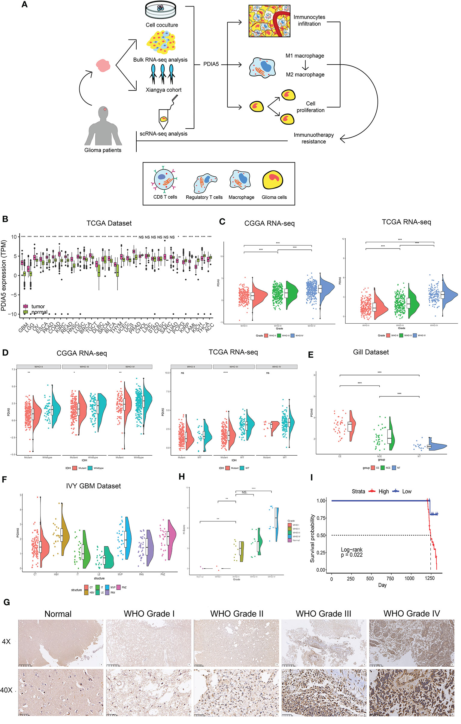 Frontiers | PDIA5 is Correlated With Immune Infiltration and Frontiers | PDIA5 is Correlated With Immune Infiltration and