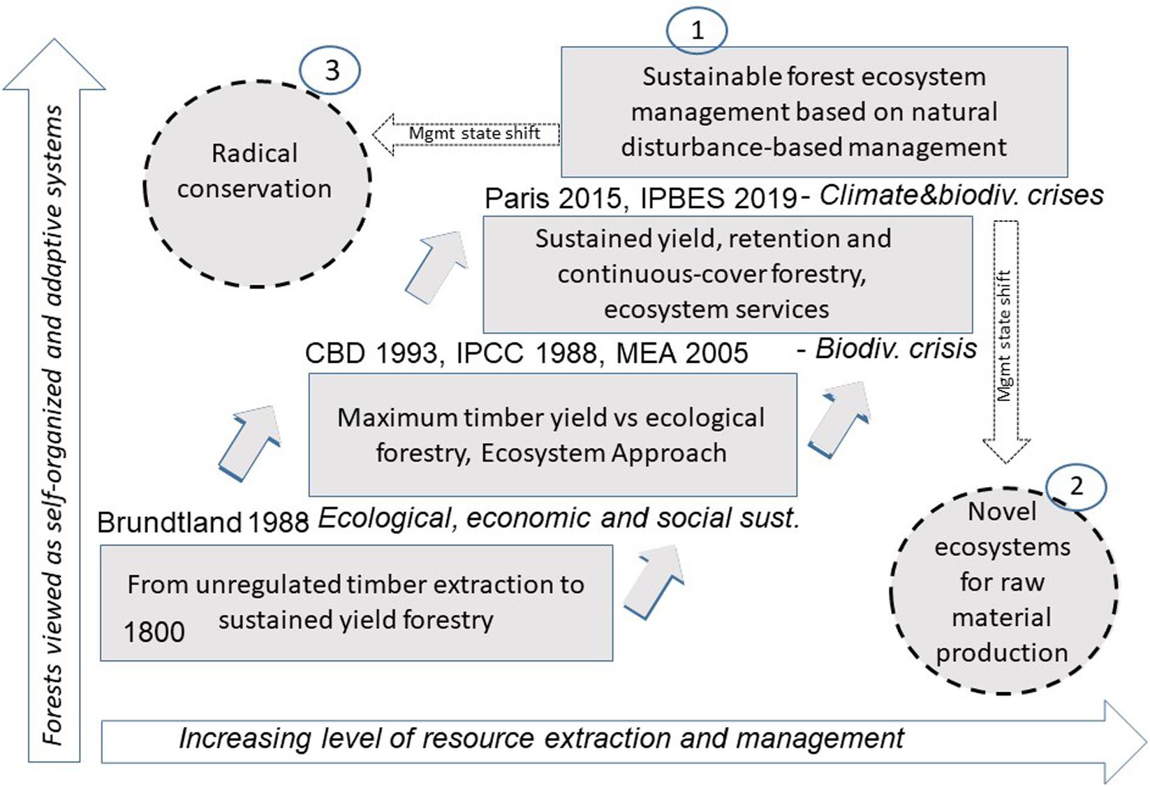 PDF) Intention of preserving forest remnants among landowners in the  Atlantic Forest: The role of the ecological context via ecosystem services
