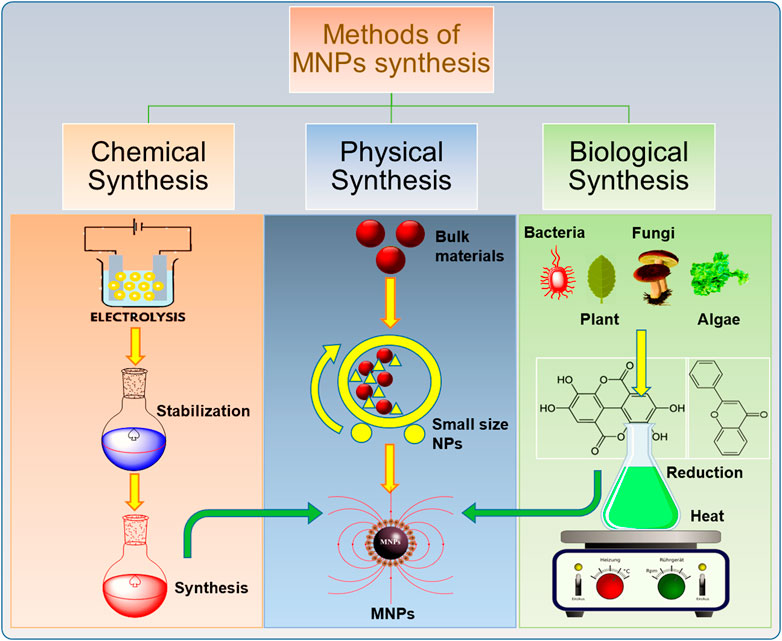 magnetic nanoparticle review