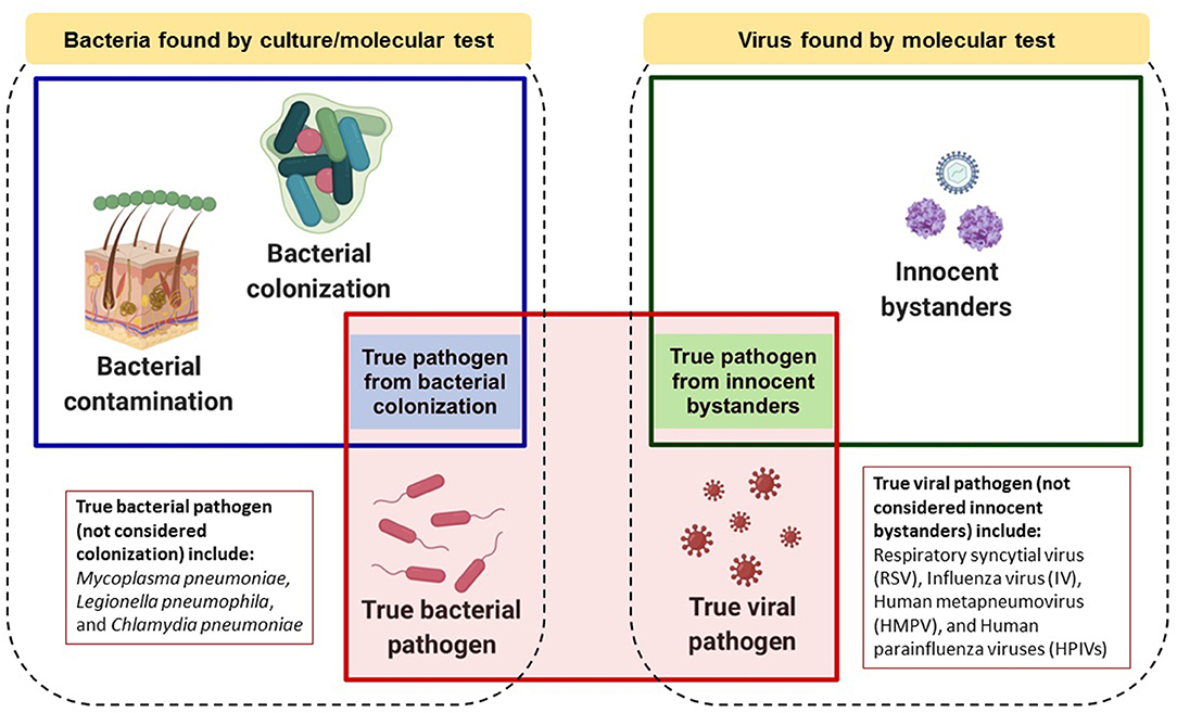 case study on pneumonia