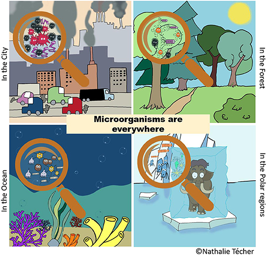 Figure 1 - Although we cannot see them without the help of a microscope, microorganisms are found in every environment on Earth, including the oceans, soils, forests, glaciers, and in the air we all breathe.
