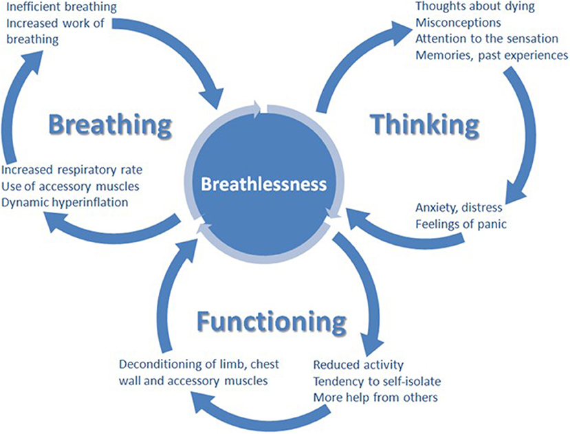 What Is Palliative Care? Definition, Types, and More