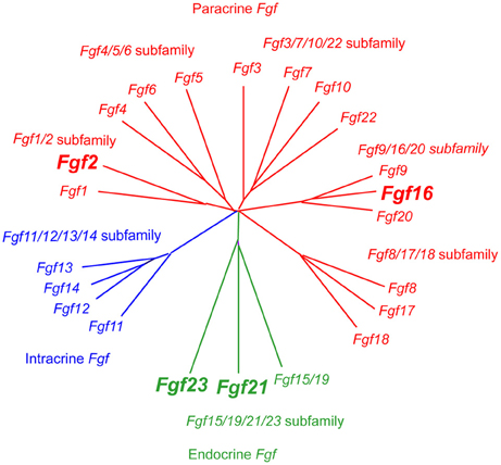 www.frontiersin.org