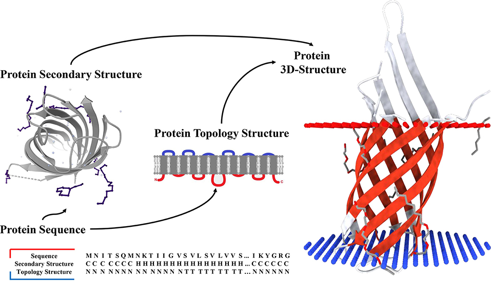 Deep learning for protein secondary structure prediction: Pre and