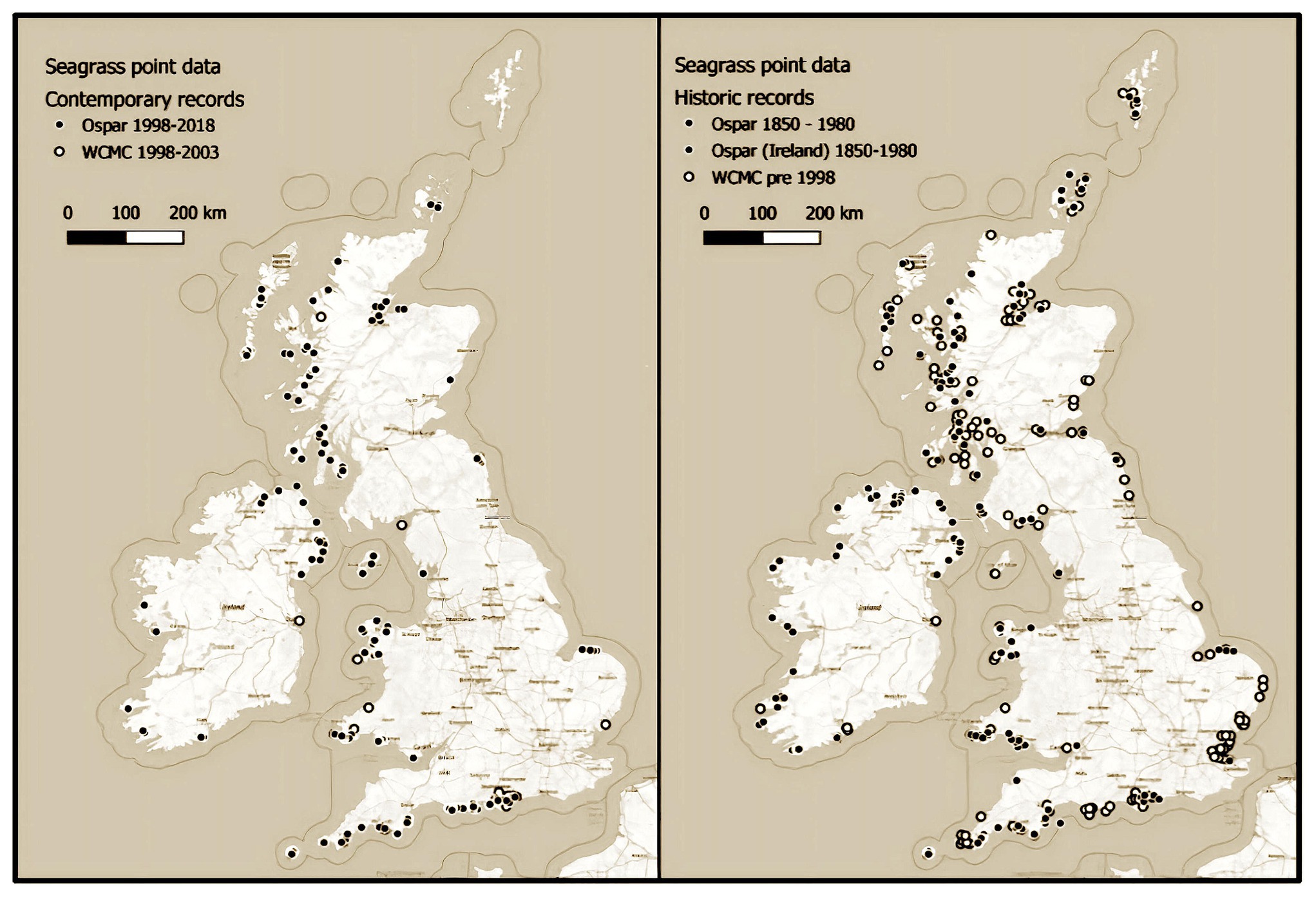 Catastrophic': UK has lost 90% of seagrass meadows, study finds, Coastlines