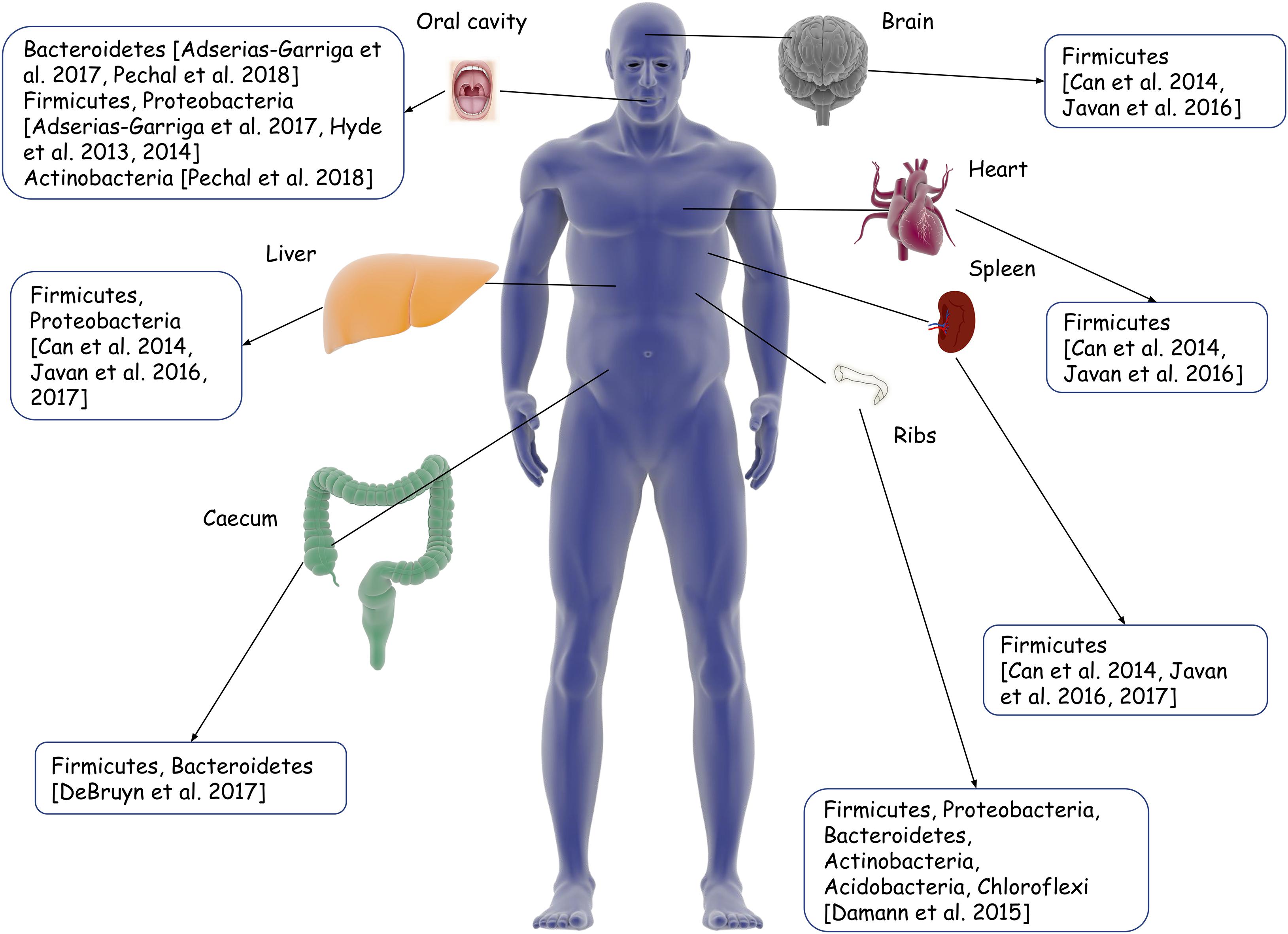 Collecting Microbiota