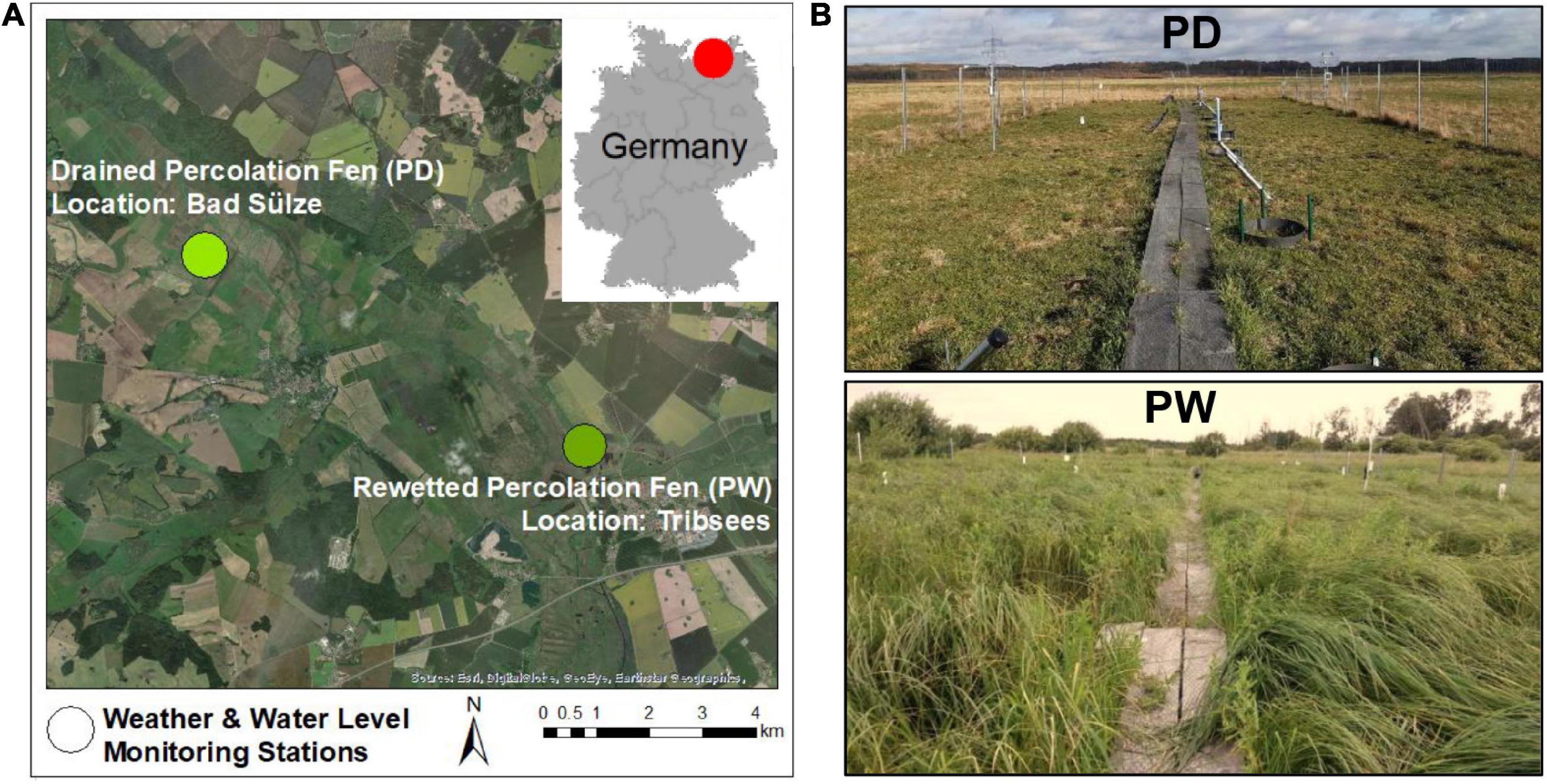 Frontiers  Meteorological Controls on Water Table Dynamics in Fen  Peatlands Depend on Management Regimes