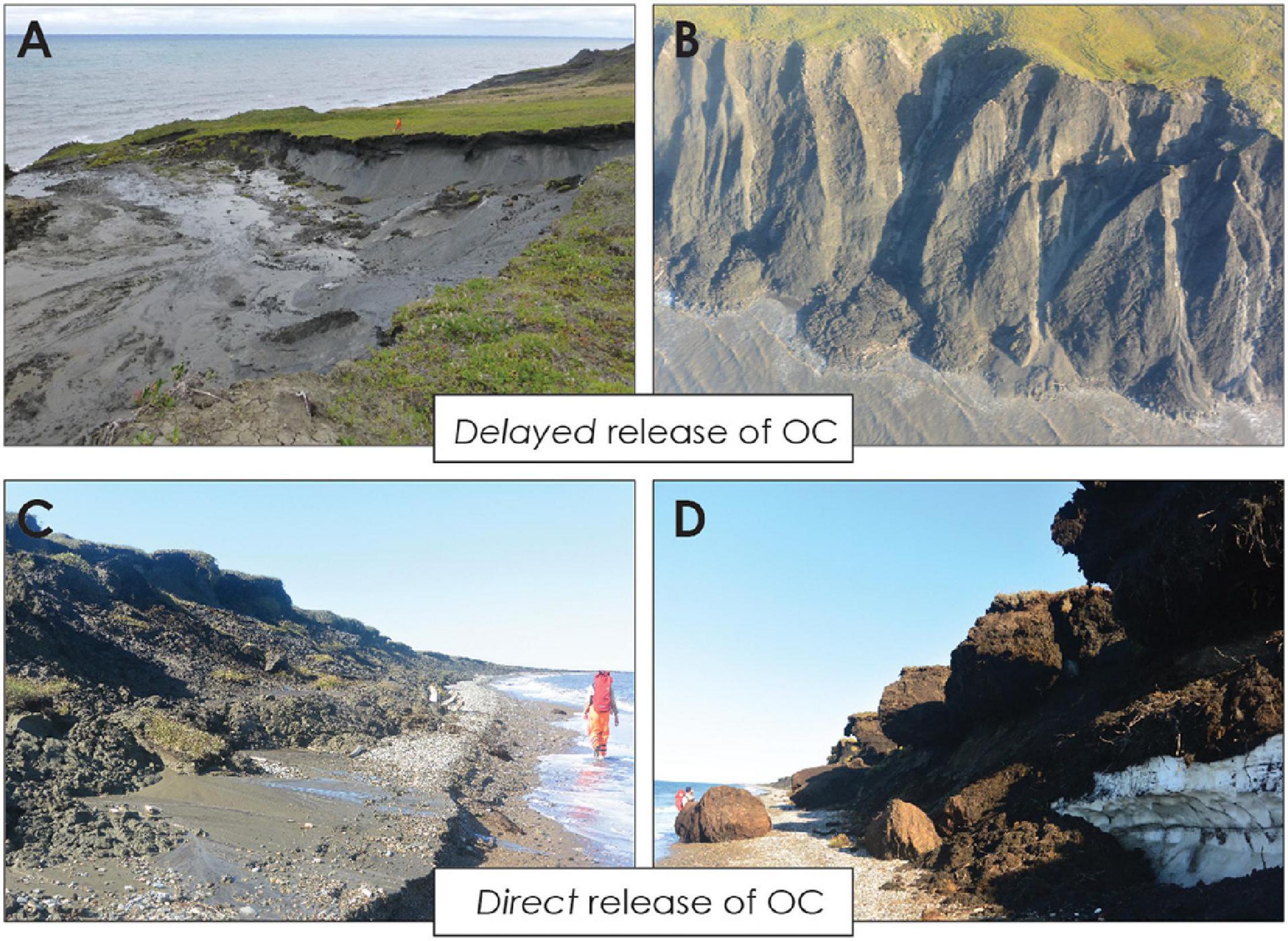 Frontiers Permafrost Carbon And Co2 Pathways Differ At Contrasting Coastal Erosion Sites In The Canadian Arctic Earth Science