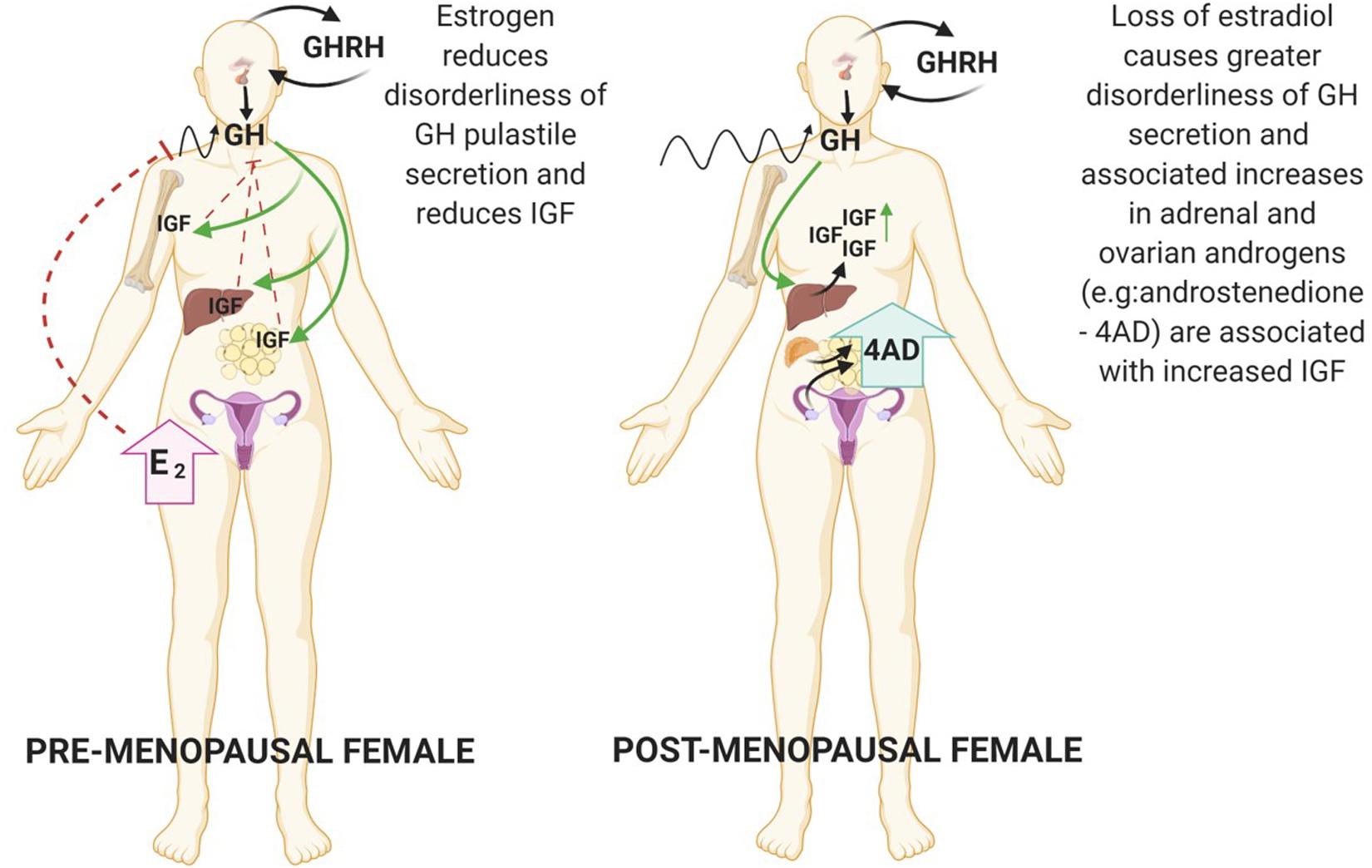 Best Make steroids and acne You Will Read in 2021