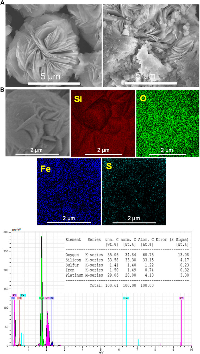 Frontiers Immobilization Of Iron Minerals On A Layered Silicate For Enhancing Its Solar Photocatalytic Activity Toward H2 Production Energy Research