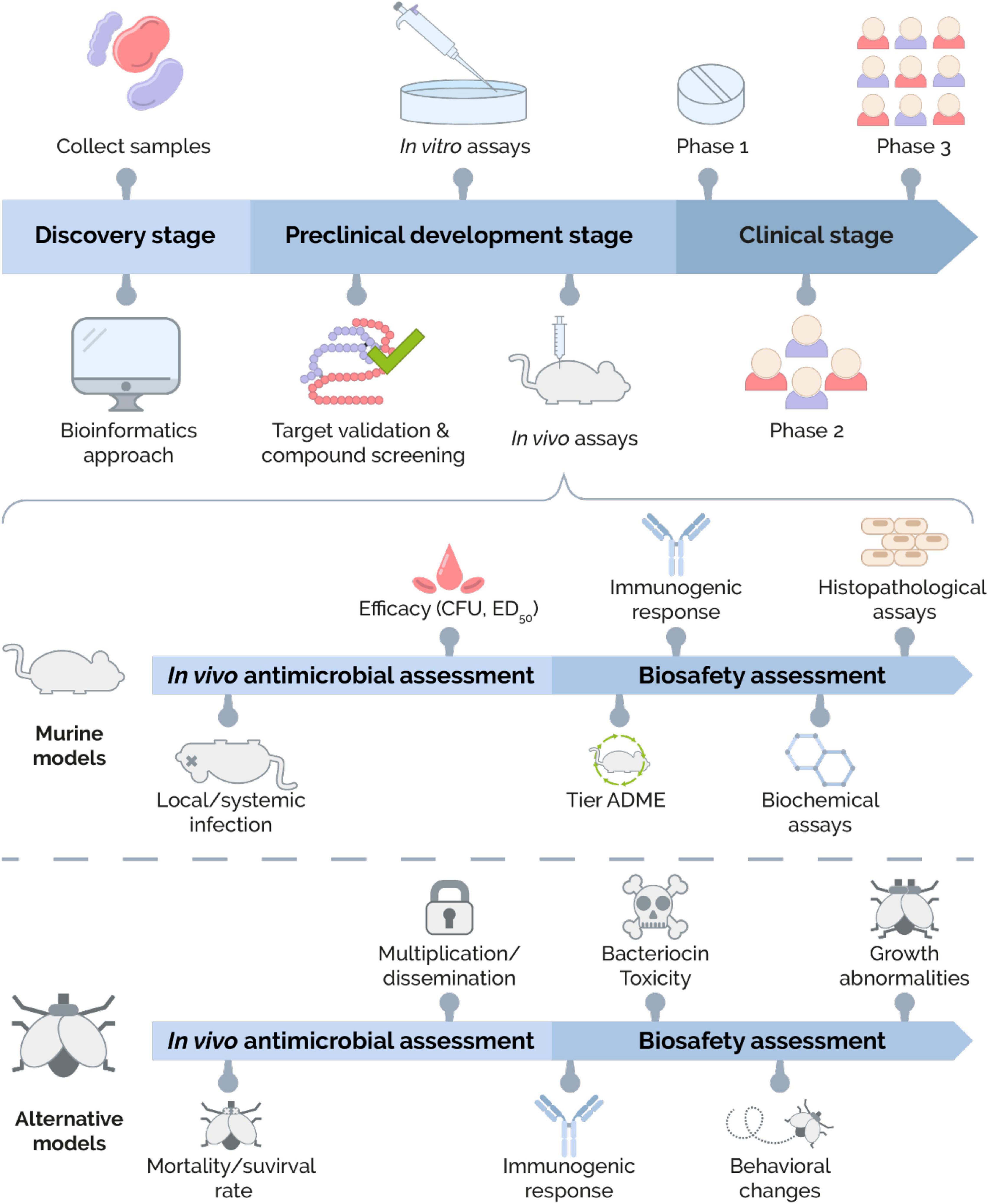 Frontiers Bacteriocins An Overview Of Antimicrobial Toxicity And