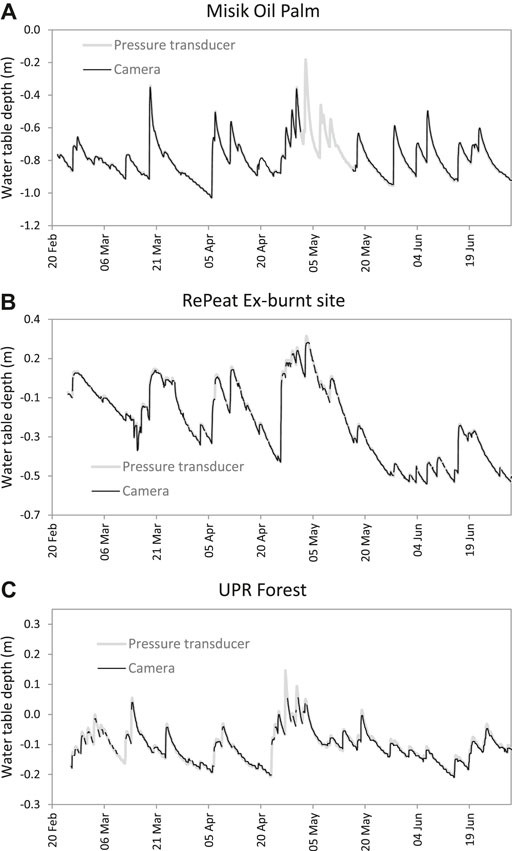 Frontiers  Meteorological Controls on Water Table Dynamics in Fen  Peatlands Depend on Management Regimes